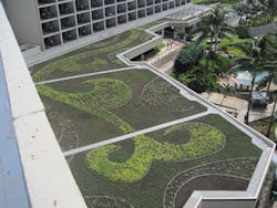 66fc258f8385a7466f88dd6e Turtle20bay20skyscape20220copy 0 66fc258f8385a7466f88dd6e Turtle20bay20skyscape20220copy 0