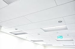 66fc25a05230182dcc079259 Sonar Large20format20close20up201 66fc25a05230182dcc079259 Sonar Large20format20close20up201