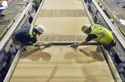 66fc25b504bf4b6953ac1062 Fabcon Plant 66fc25b504bf4b6953ac1062 Fabcon Plant