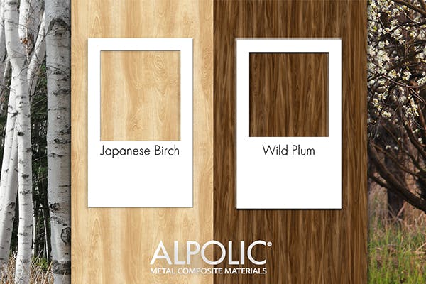 66fc264a125c29c5c0f50223 Alpolic 600x400techbrief Japanese20birch Wild20plu