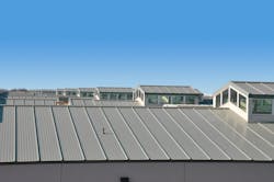 Dsc 3638%20rev Dsc 3638%20rev