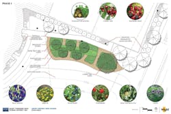 Food Forest Concept Phase 1 Food Forest Concept Phase 1