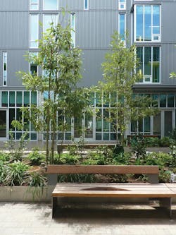 Tulane P1060342 Tulane P1060342