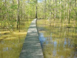 Dela Boardwalk To Hut 0 Dela Boardwalk To Hut 0