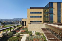 Pamf B Damonte 29 Pamf B Damonte 29