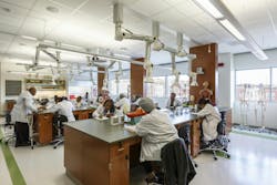 Coppin Stem Interior Coppin Stem Interior