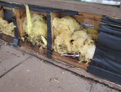 Figure%203 Figure%203