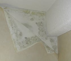 Figure%206 Figure%206