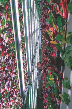 Opener%201%20 Plenty%20copy Opener%201%20 Plenty%20copy