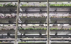 Second%20 Page%202%20 Bowery%20copy Second%20 Page%202%20 Bowery%20copy