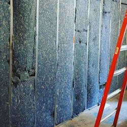 Carpet Cycle%20copy Carpet Cycle%20copy