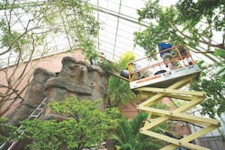 Bird-friendly starphire ultra-clear class in an aviary Bird-friendly starphire ultra-clear class in an aviary