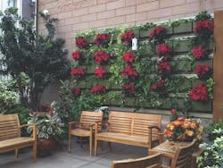 Live Wall Moss Rehab Green%20 Wall 2 Live Wall Moss Rehab Green%20 Wall 2