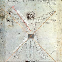 Vitruvian Man Vitruvian Man