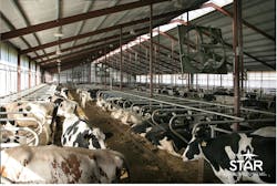 Star%20 Aug%20 Vob%20pic%203 Star%20 Aug%20 Vob%20pic%203