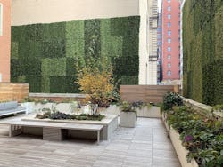 Green elements in roof paver system Green elements in roof paver system