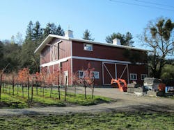 Bastoni%20 Vineyard 10 Bastoni%20 Vineyard 10