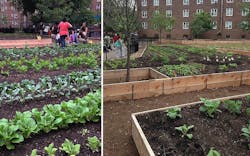 Urban%20 Farm%202 Urban%20 Farm%202