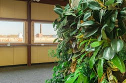 Eviro Stewards Hdr Eviro Stewards Hdr