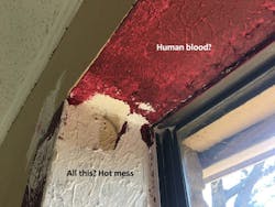 Bad Paint Job Starter 1 Bad Paint Job Starter 1