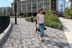 A Women And Her Dog Are Walking Across The Paved Surface Of A Park Which Features Three Colors Of Permeable Plank Pavers Laid In A Herringbone Pattern A Women And Her Dog Are Walking Across The Paved Surface Of A Park Which Features Three Colors Of Permeable Plank Pavers Laid In A Herringbone Pattern