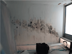 Figure%201 Figure%201