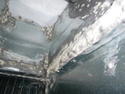 Figure%202%20%281%29 Figure%202%20%281%29