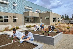 Introvertsoasis06 Introvertsoasis06