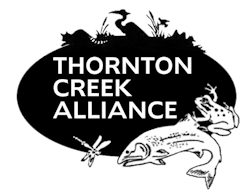 shopping-mall shopping-mall