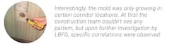 Hotel%20 Renovation%20 Threatened%20 Due%20to%20 Unsuspecting%20 Mold%20on%20 Plaster%20 Walls%20 %20 Image%202%402x Hotel%20 Renovation%20 Threatened%20 Due%20to%20 Unsuspecting%20 Mold%20on%20 Plaster%20 Walls%20 %20 Image%202%402x