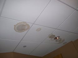 Figure%203b Figure%203b