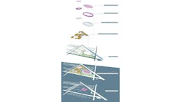 E Sports Diagram 2 E Sports Diagram 2