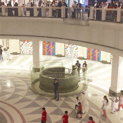 Elevator Crop Elevator Crop