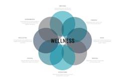 Staff Wellbeing Graphics2 Staff Wellbeing Graphics2