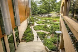 Building nature integration greenery Building nature integration greenery