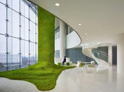 Nature infused into building interior Nature infused into building interior