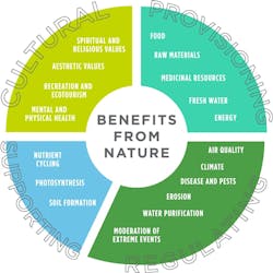 Promoting-Natural-Capital-in-Construction-Helps-Biodiversity-and-the-Climate-47650_figure1 Promoting-Natural-Capital-in-Construction-Helps-Biodiversity-and-the-Climate-47650_figure1