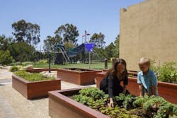 Tarbut%27 V%20 Torah Tarbut%27 V%20 Torah