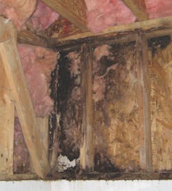 House%20 Damage%20from%20 Moisture 0 House%20 Damage%20from%20 Moisture 0