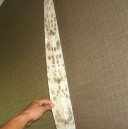 Screen%20 Shot%202019 02 07%20at%204 52 04%20 Pm Screen%20 Shot%202019 02 07%20at%204 52 04%20 Pm