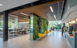 Healthcare green wall interior Healthcare green wall interior