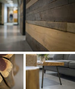 biophilic wood wall design biophilic wood wall design