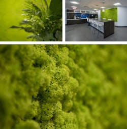 office biophilic design wall office biophilic design wall