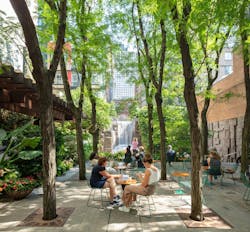 New Yorkers sitting at tables and chairs beneath a lush tree canopy with dappled light and a waterfall in the background New Yorkers sitting at tables and chairs beneath a lush tree canopy with dappled light and a waterfall in the background