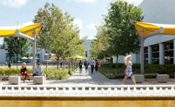 Pathway through campus Pathway through campus