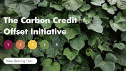 The Carbon Credit Offset Initiative The Carbon Credit Offset Initiative