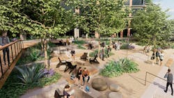 Springdale Green, Austin Springdale Green, Austin