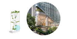 Midlife Metamorphosis phase four Midlife Metamorphosis phase four