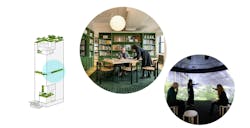 Midlife Metamorphosis phase three Midlife Metamorphosis phase three