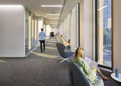 Students studying in library Students studying in library